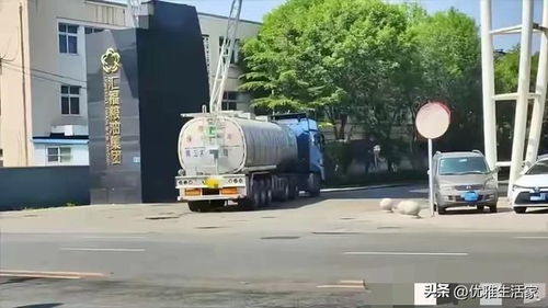 中儲糧發(fā)展中的挑戰(zhàn)與責任擔當